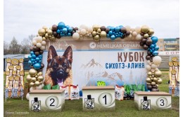 Монопородная Выставка Немецкой Овчарки ранг, КЧК в городе Арсеньев.